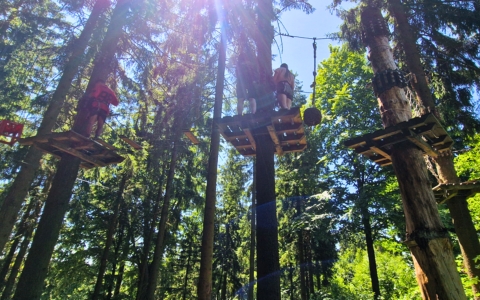 Mehrere Personen befinden sich in einem Hochseilgarten zwischen hohen Bäumen. Sie stehen auf Holzplattformen, die an verschiedenen Bäumen befestigt sind. Die Plattformen sind durch schmale Seil- und Holzelemente miteinander verbunden. Die Sonne scheint durch die Baumkronen und erzeugt zahlreiche Lichtflecken auf dem Boden und den Plattformen. Im Hintergrund sind dichte, grüne Bäume und ein blauer Himmel zu sehen. Die Personen tragen Sicherheitsausrüstung und sind dabei, einen Parcours zu absolvieren.