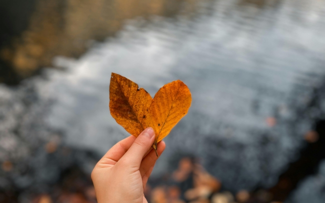 Monatsspruch September 