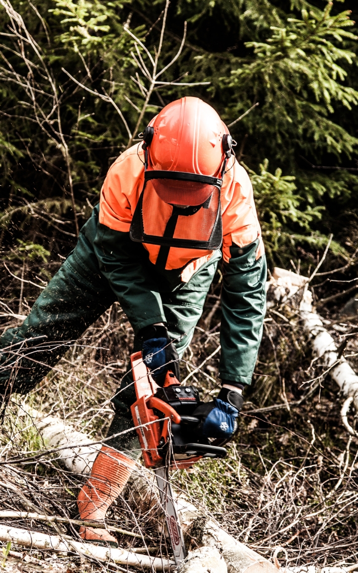 WfbM_TeilhabeArbeit_Außenarbeitsplätze