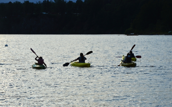Drei Personen sitzen in Kajaks auf einem ruhigen Gewässer und paddeln in Richtung Ufer. Die Szene ist von hinten aufgenommen, sodass die Silhouetten der Paddler und Boote vor dem hellen Wasser deutlich zu erkennen sind. Im Hintergrund sind Bäume und eine leicht ansteigende Uferlinie sichtbar.